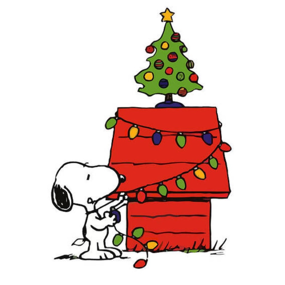 Meet your Posher, Lola